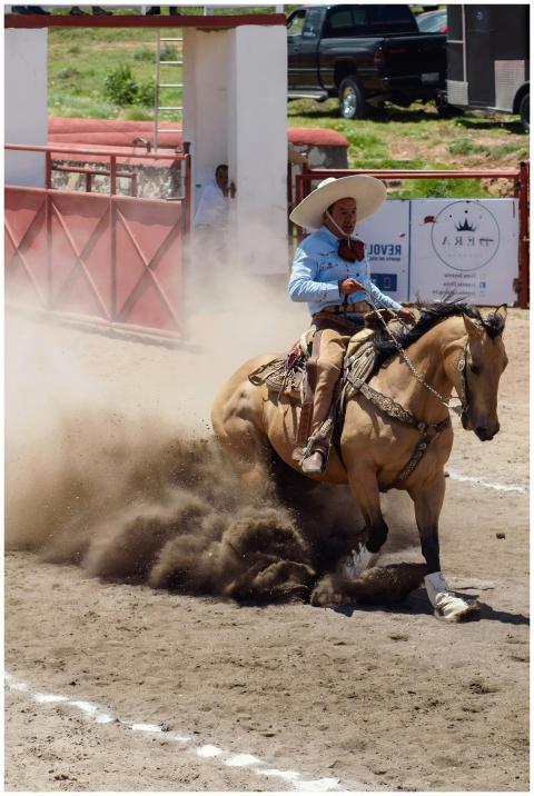 Charro performing in a rodeo, showcasing tradition