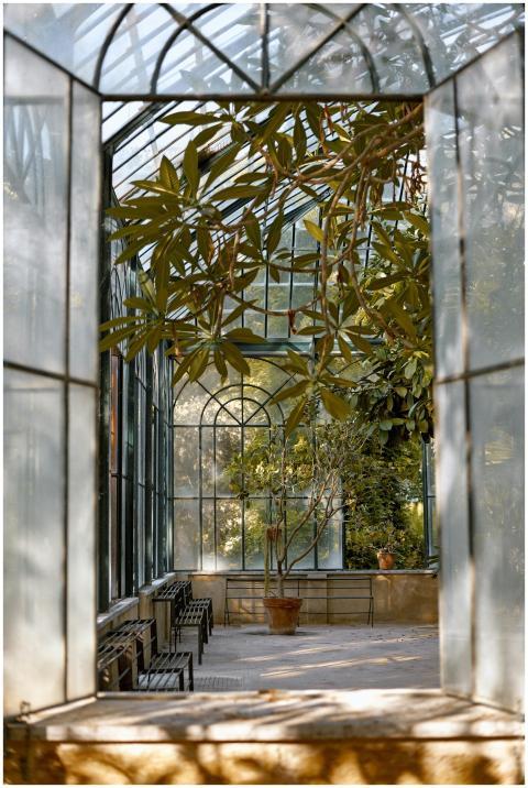 Peaceful greenhouse space with lush plants and nat