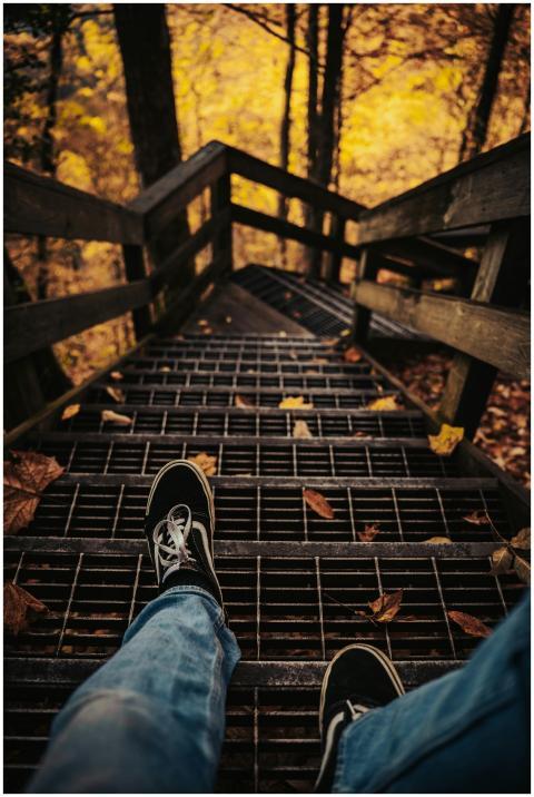 Downward view of a forest stairway covered in autu