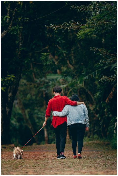 A romantic couple embraces and walks their dog in