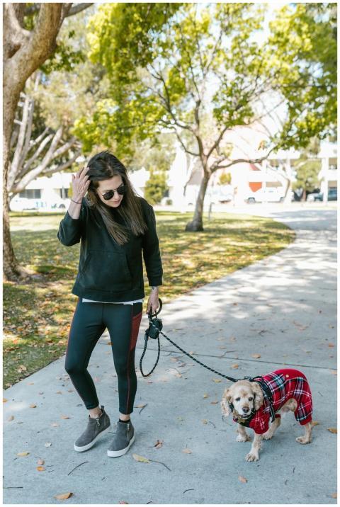 A woman walking her well-dressed dog in a sunny pa