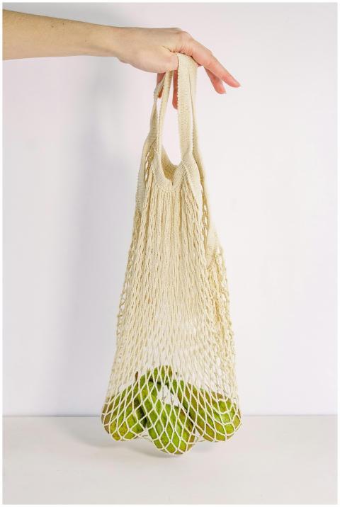 Close-up of hand holding a net bag filled with gre