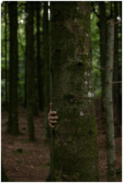 A mysterious hand appears to be gripping a mossy t
