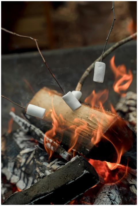 Close-up of marshmallows roasting over an open fir