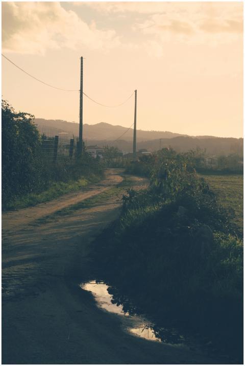 Rural Dirt Road Sunset