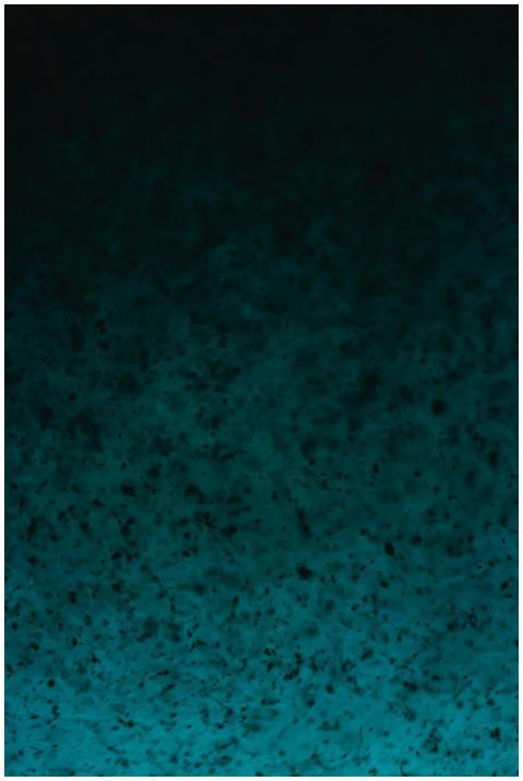 Dark blue textured surface with a subtle gradient