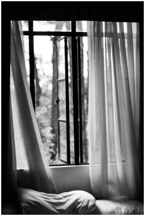 A peaceful black and white view through a window w