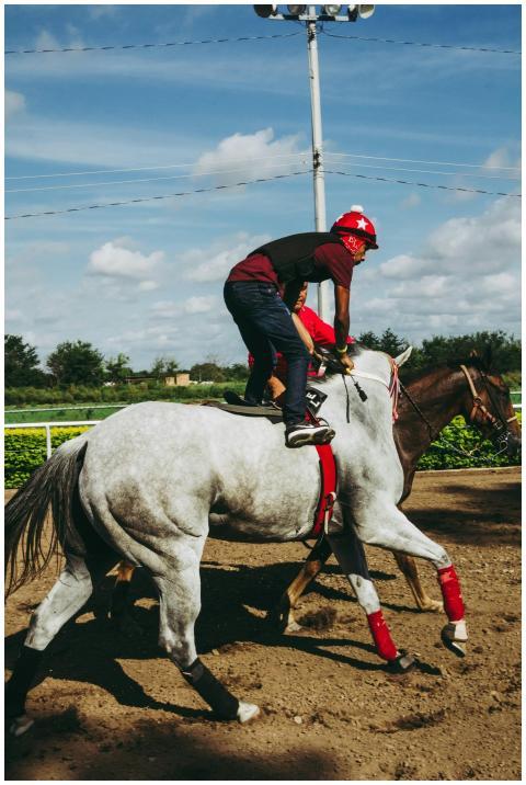 Horse jockey in dynamic motion preparing for an ex