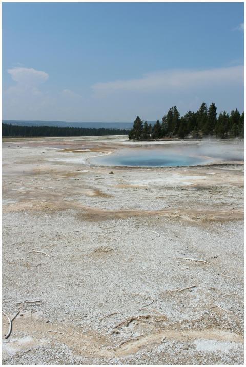 A geothermal spring in Yellowstone National Park w
