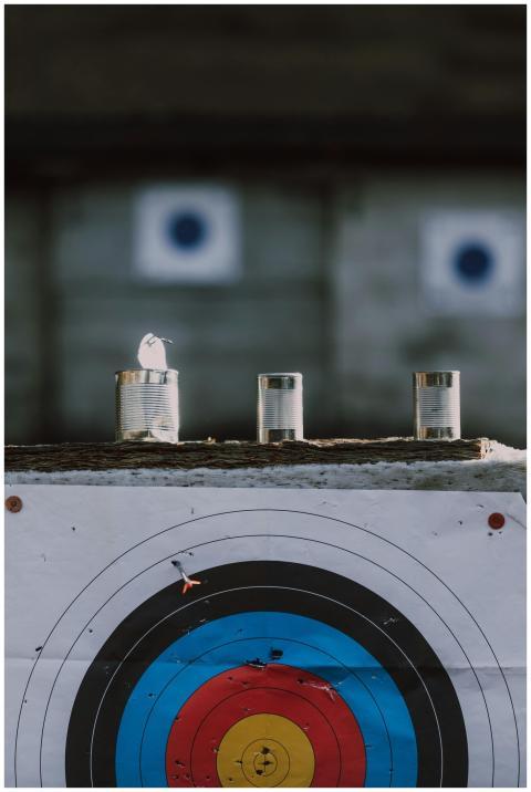 An archery target with a bullseye and tin cans set
