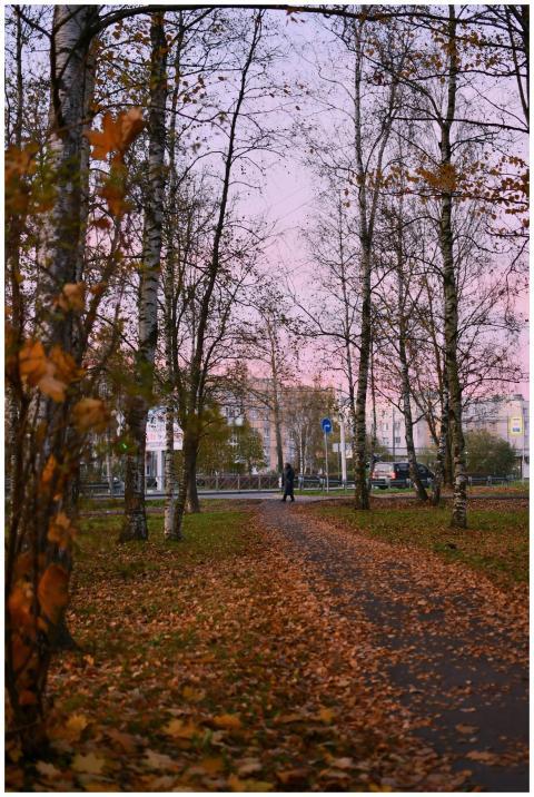 A peaceful autumn evening in a city park with colo