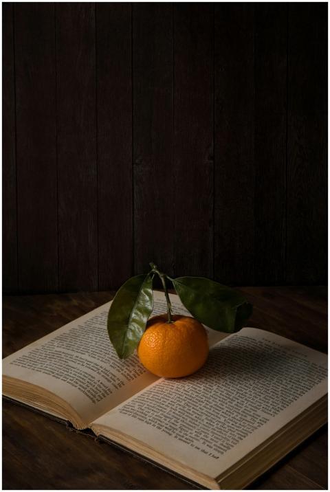 A fresh orange with leaves placed on an open book
