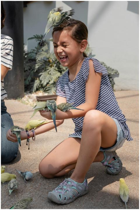 A happy girl interacts with birds in an outdoor av