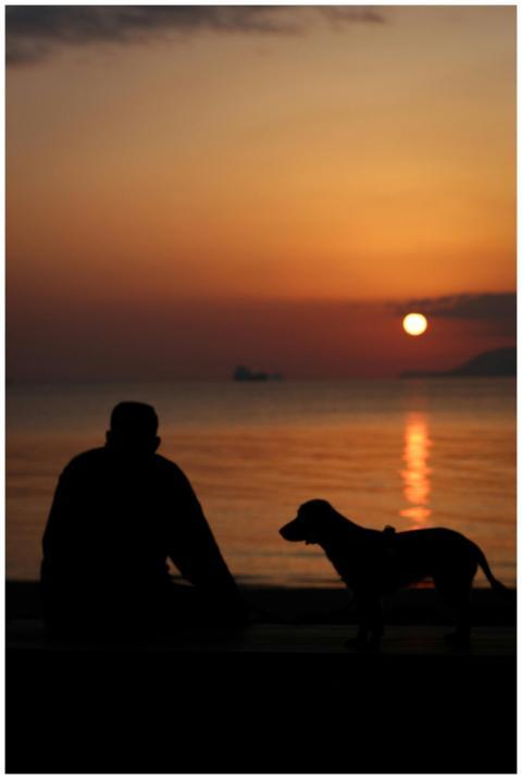 Stunning silhouette of a man and dog at sunset in