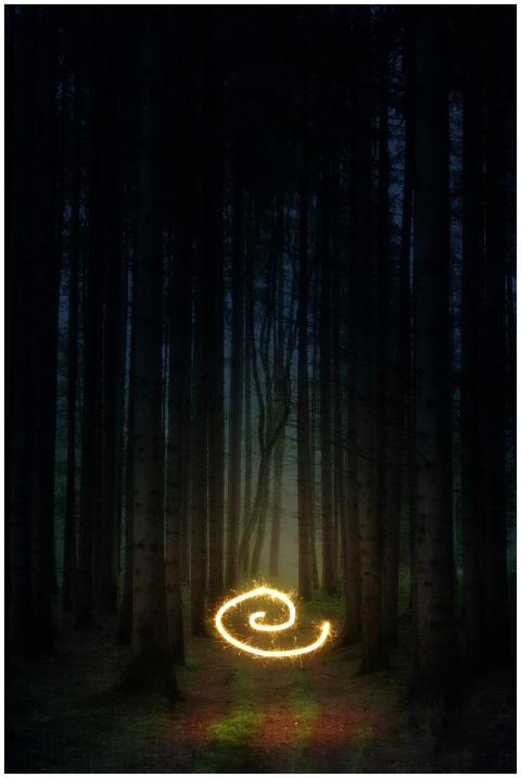 Mysterious nighttime forest scene with swirling li
