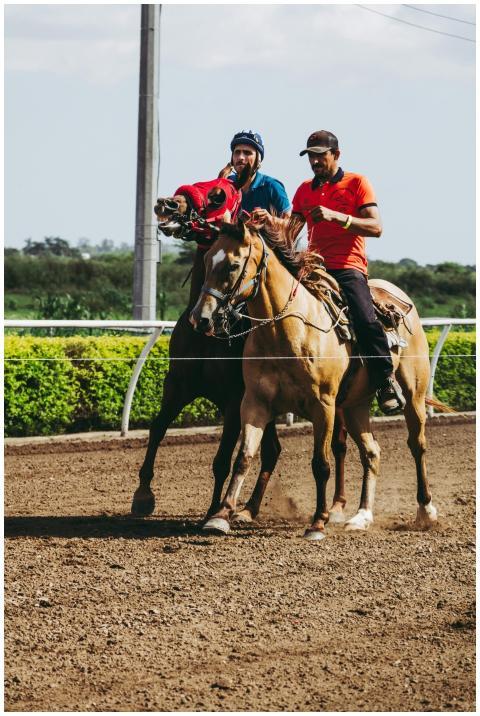 Two men on horseback training outdoors on a sunny