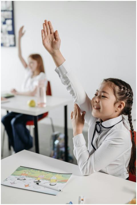 Two students actively participate in classroom wit
