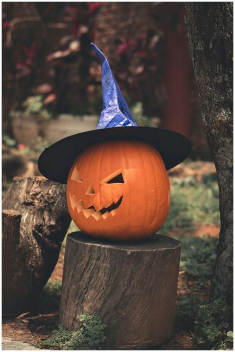 A creepy pumpkin lantern with a witch hat outdoors