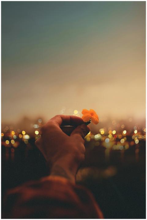 A hand holds a small yellow flower, with vibrant c