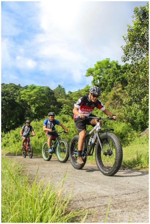 Three cyclists enjoy mountain biking through lush