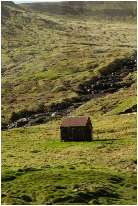 A lonely rustic cabin situated in a lush, green mo
