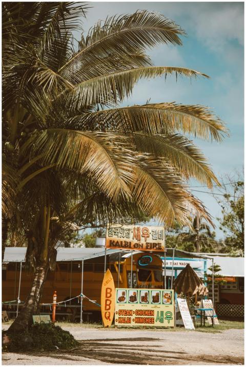 Street view of a vibrant food truck serving Korean
