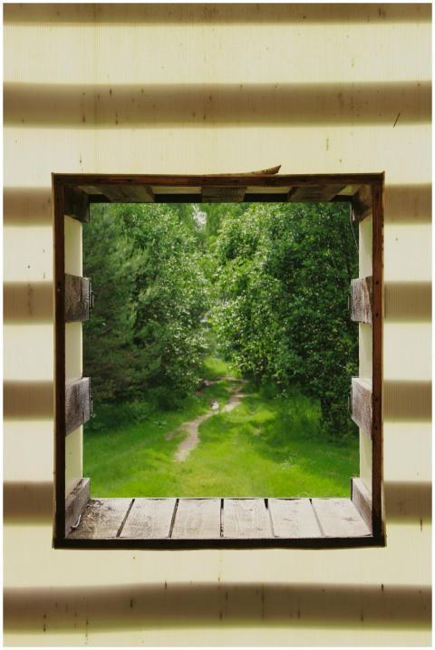 View through a rustic window frame into a vibrant