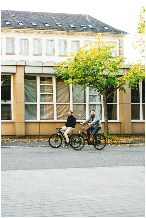 Free stock photo of bicycle culture
