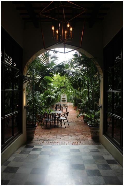 Serene outdoor patio surrounded by tropical plants