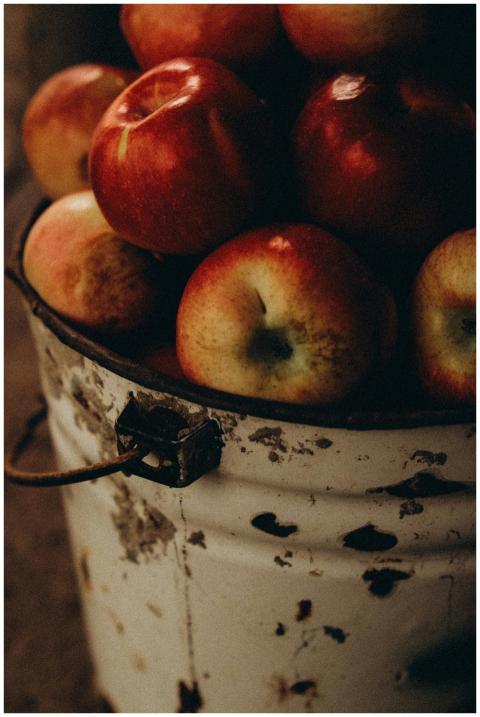 A rustic scene featuring red apples in a vintage m