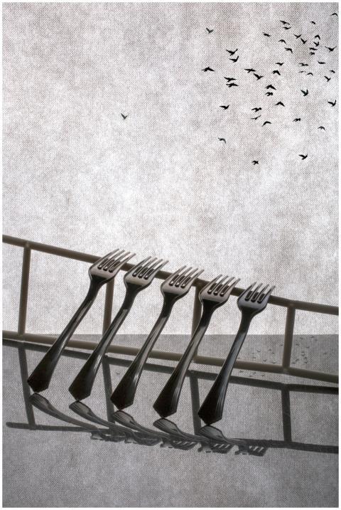 Abstract Composition Forks Birds