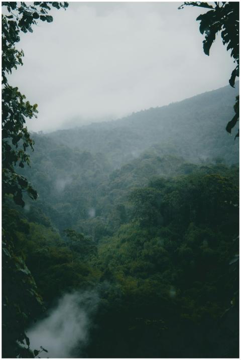 Serene view of a misty rainforest in Kota Tasikmal