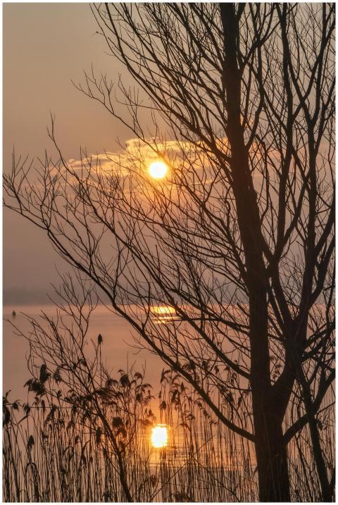 Peaceful sunrise reflecting over a calm lake frame