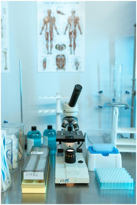 A well-equipped laboratory setup featuring a micro