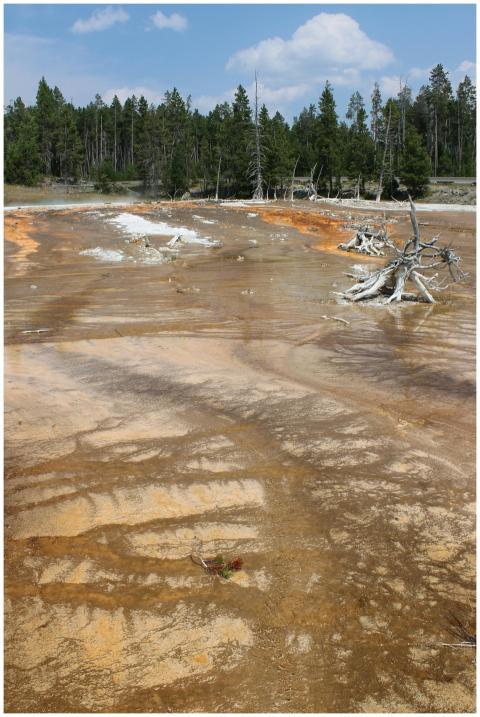 Free stock photo of yellowstone, yellowstone natio