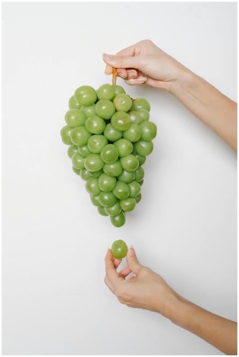 Crop anonymous female demonstrating cluster of fre