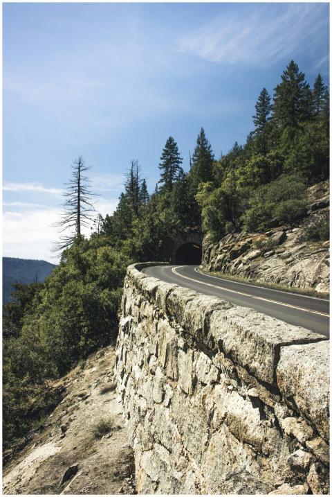 Winding road through the forest leading to a tunne