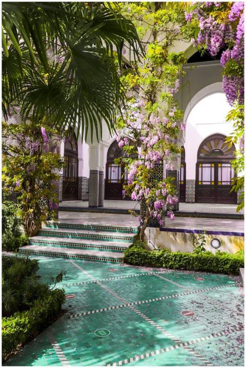 Elegant Parisian courtyard featuring lush greenery