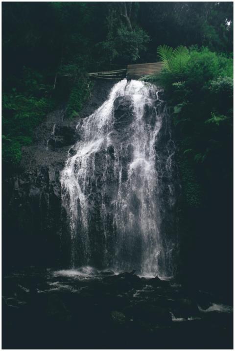 Experience the serene beauty of a waterfall surrou