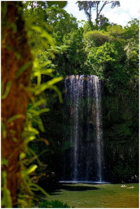 Serene Waterfall Lush Green