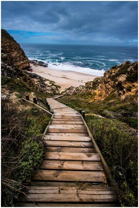 Wooden stairs leading down to a scenic beach surro