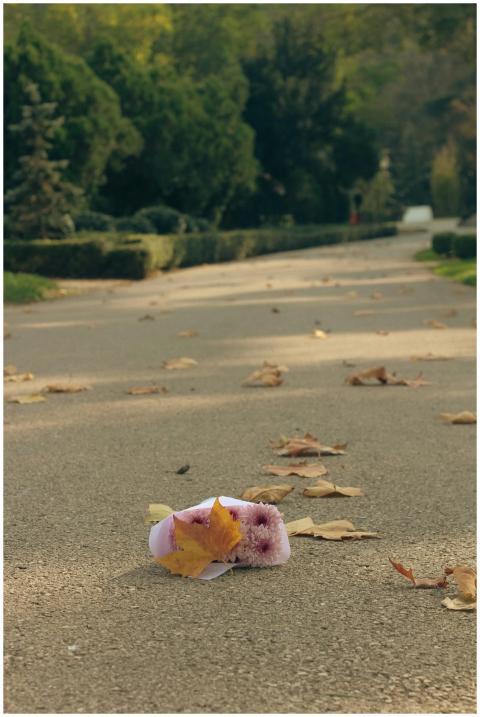 Fallen autumn leaves and a small bouquet on an emp