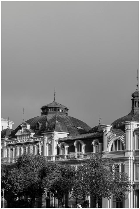 Black and white photo of historic architecture in
