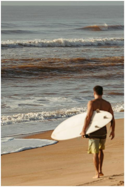A man carries a surfboard along the shoreline, pre