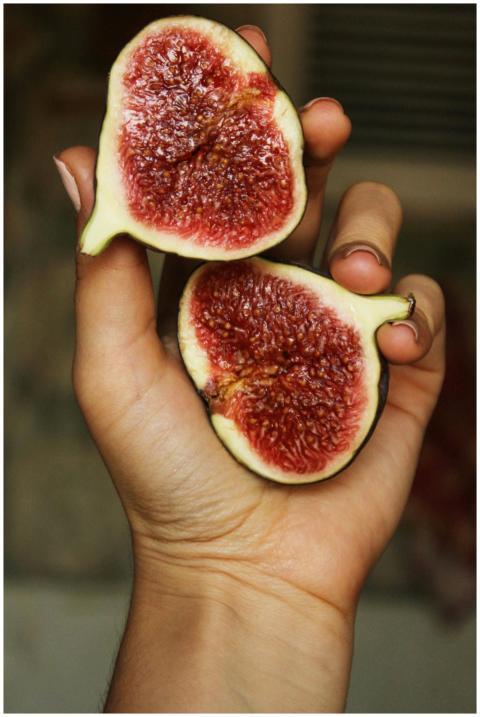 Close-up shot of fresh figs in hand, showcasing vi