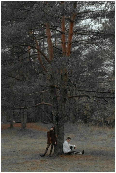 A couple posing under a tree in a peaceful forest