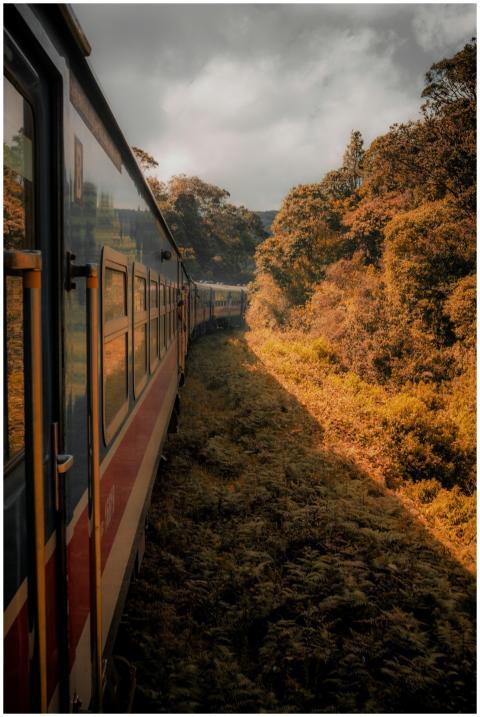 Experience a breathtaking train ride through Ella'