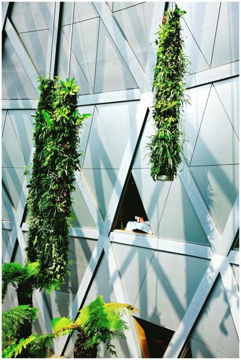 Vertical garden with lush greenery on a modern bui