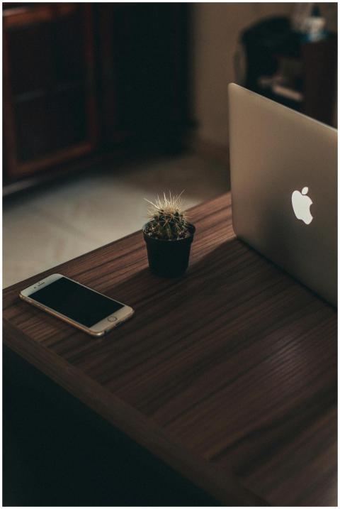 Stylish home office setup with a laptop, cactus, a
