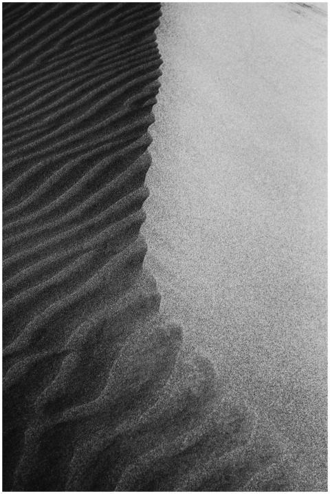 Black and white abstract texture of rippling sand